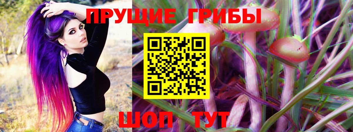 Псилоцибиновые грибы ЛСД Ленинск-Кузнецкий